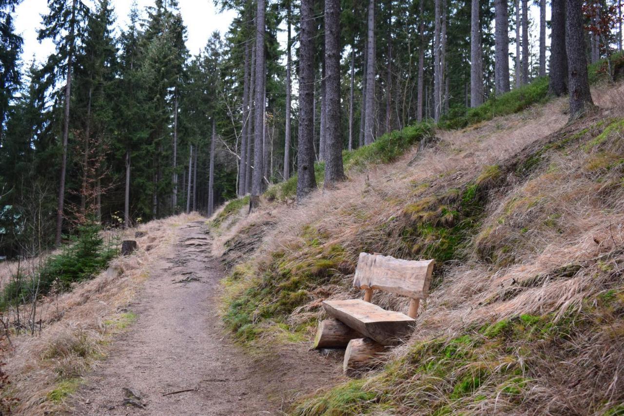 Grand Harrachov Pension V Centru Kültér fotó