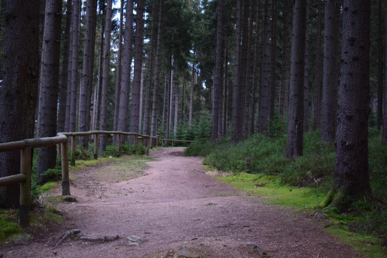 Grand Harrachov Pension V Centru Kültér fotó